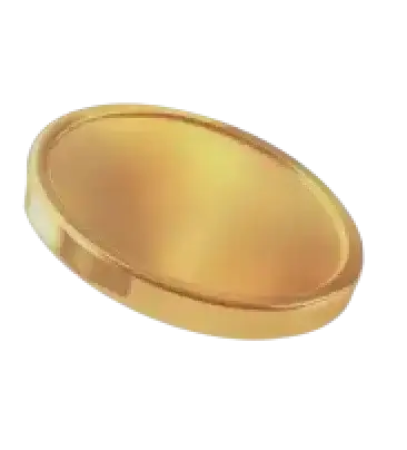 Rikshvelv KI finansplattform