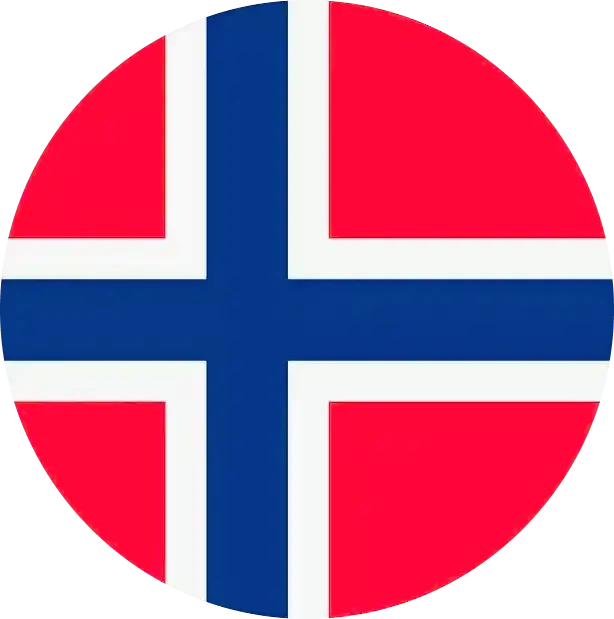 Rikshvelv KI hva er det